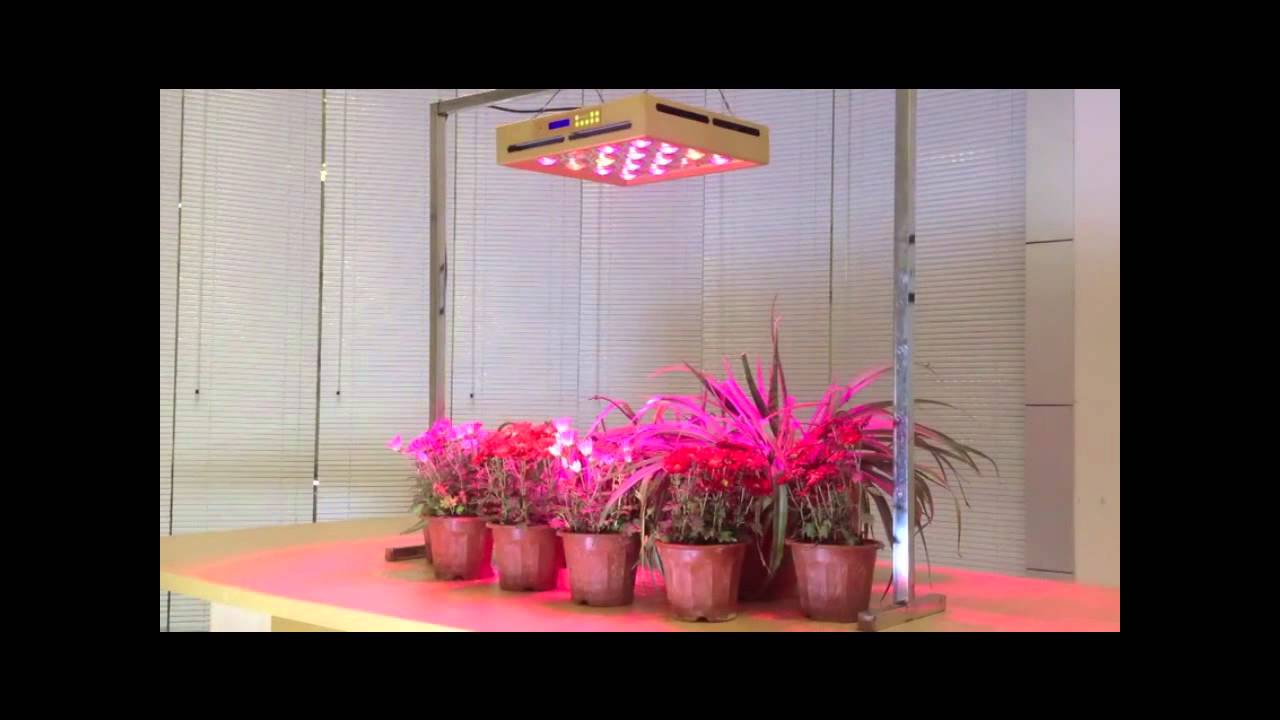 TOP GROW SUN 160W, 320W Professional - LED Ř&Iacute;ZEN&Eacute; PĚSTEBN&Iacute; OSVĚTLEN&Iacute; , 12 VLNOV&Yacute;CH D&Eacute;LEK