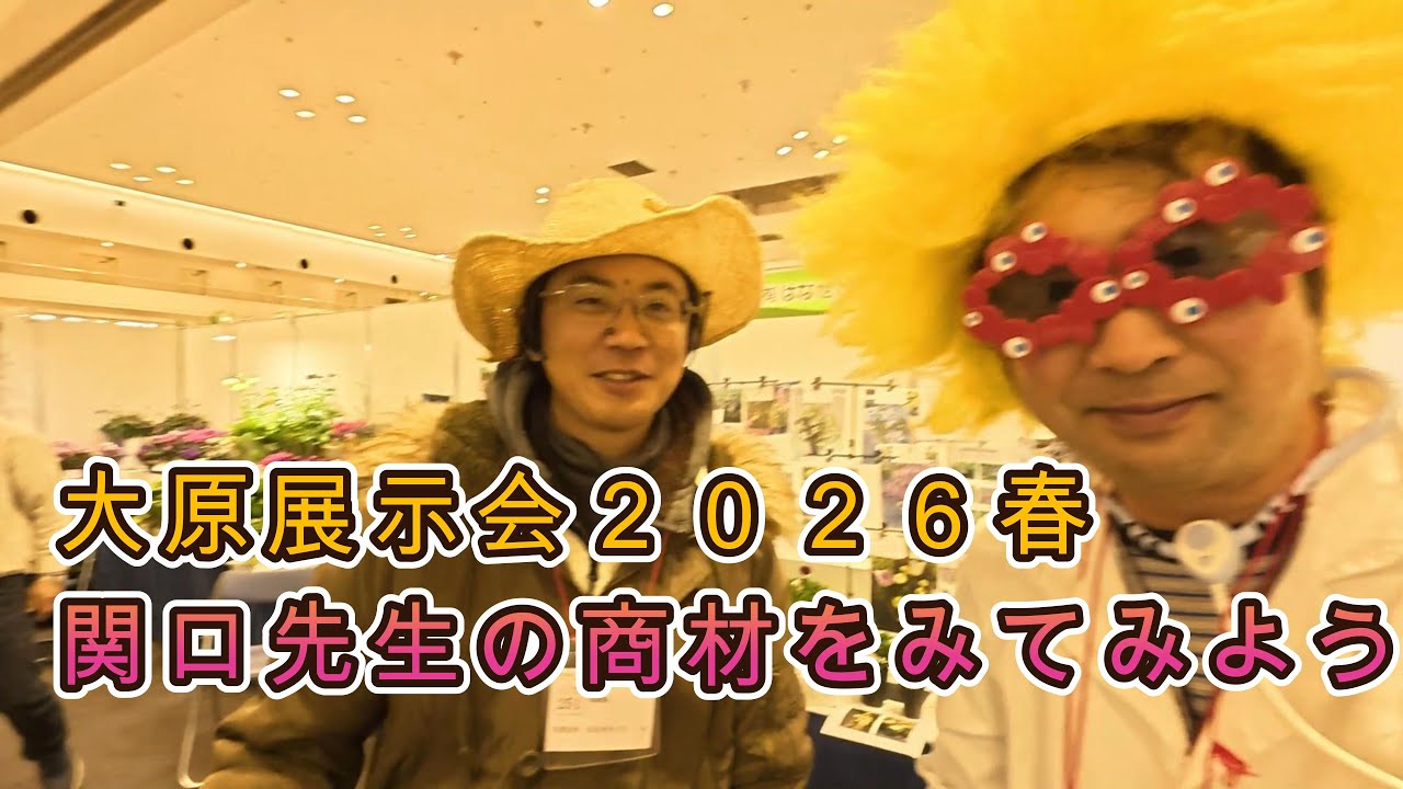 2026大原展示会関口雄二先生の春商材をみてみよう　＃関口雄二　＃ドクターおぅ
