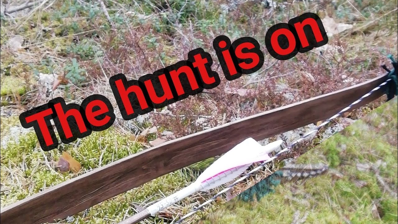 The hunt is on! Hunting 4 bow staves
