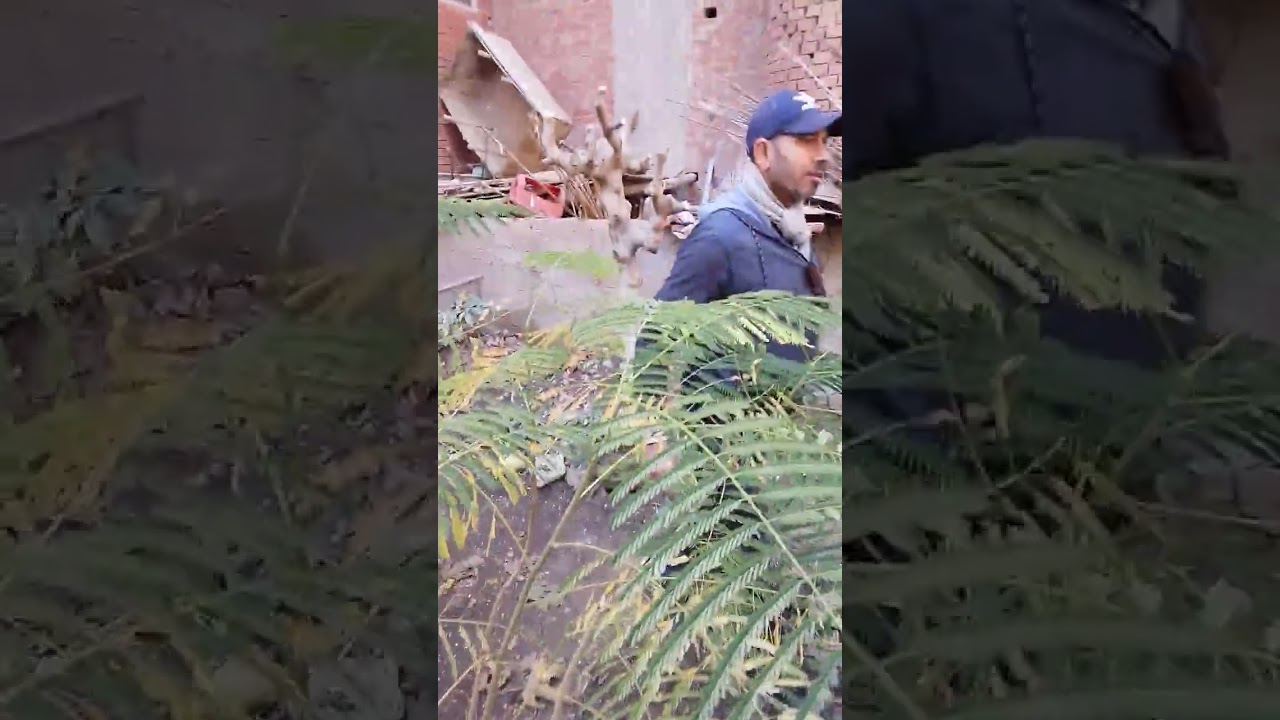 ٥ يناير ٢٠٢٦