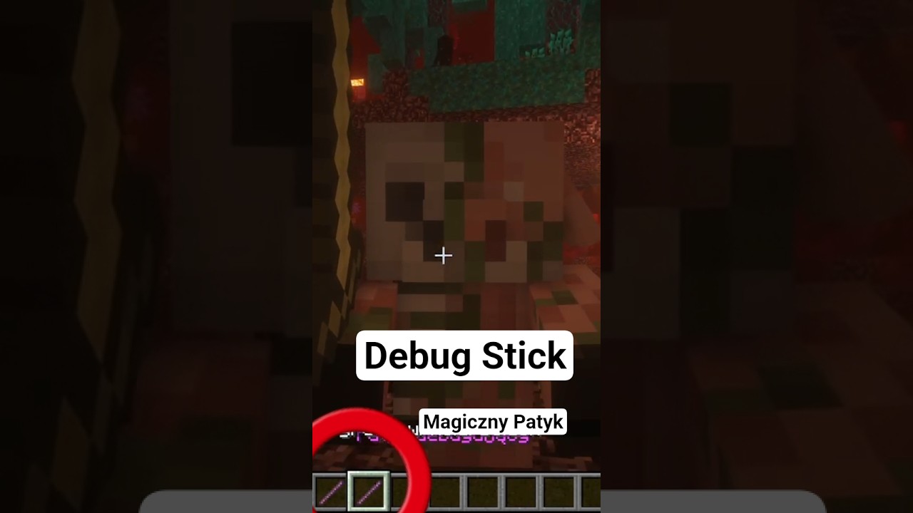 Debug Stick Minecraft (Magiczny patyk bez modow)