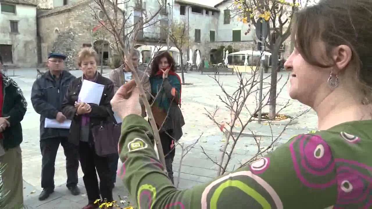 Apadrina una jardinera. Ajuntament de Besalú