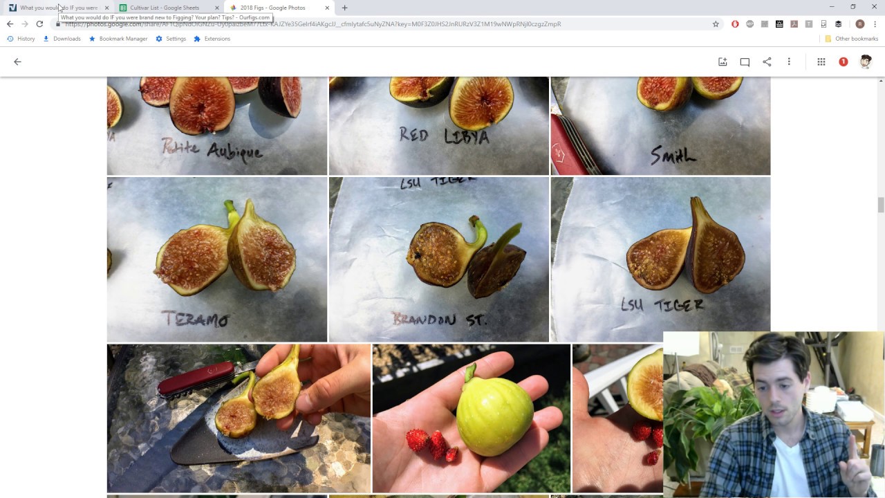 How To Start a FIG Collection: My Advice
