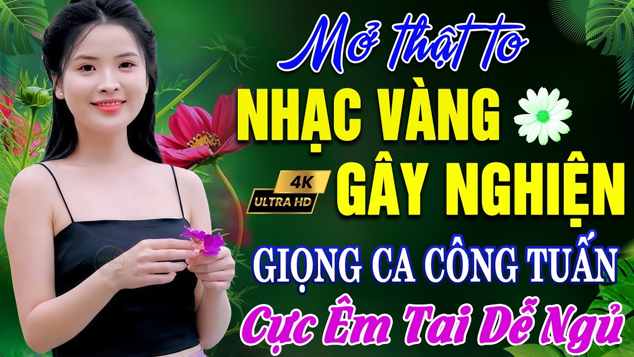 GIÓ VỀ MIỀN XUÔI ➤ Nhạc Bolero Trữ Tình 5.0 - CÔNG TUẤN Giọng Ca CỰC ÊM TAI 2026 - LK NHẠC VÀNG HIẾM