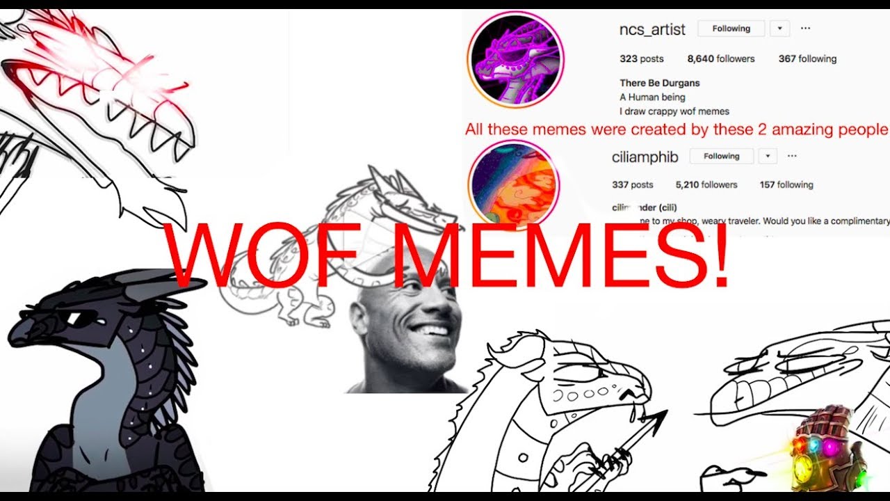 WOF мемы, которые я украл из инстаграма