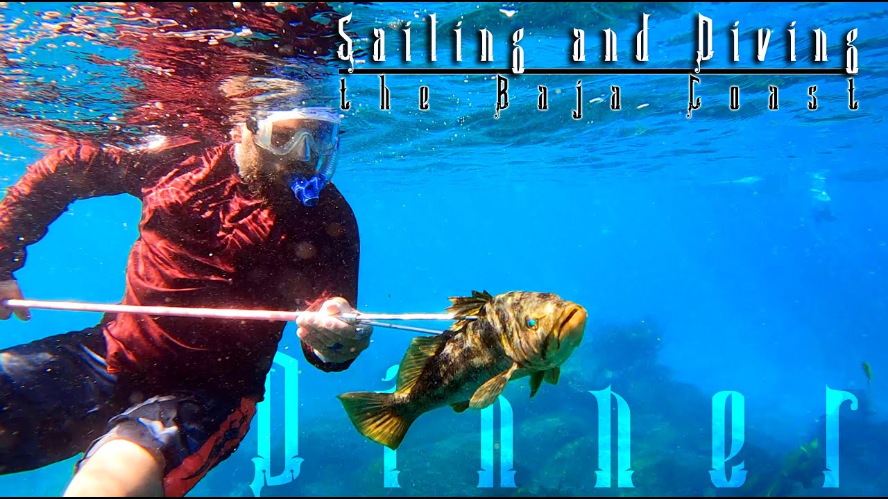 Free Diving the Baja Coast! | Sailing SV Bully - Ep. 36