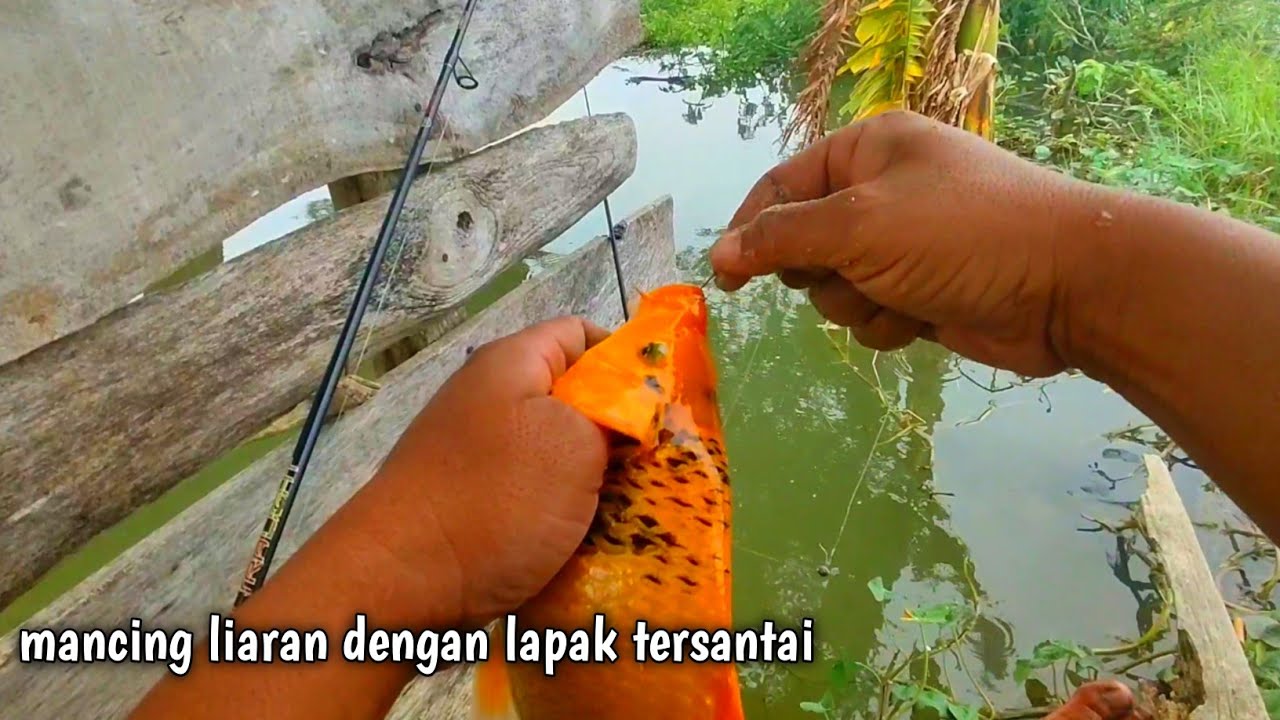 Nyobain spot belusukan ke tengah-tengah area banjir 