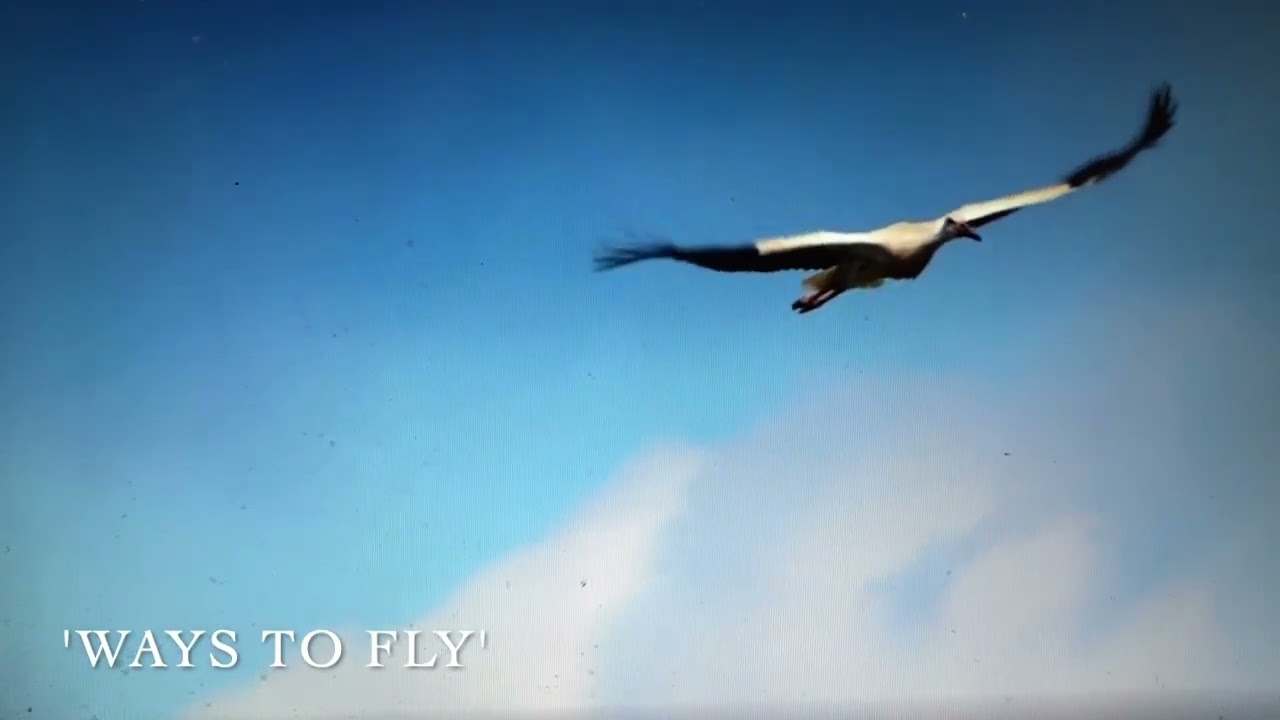 Ways To Fly