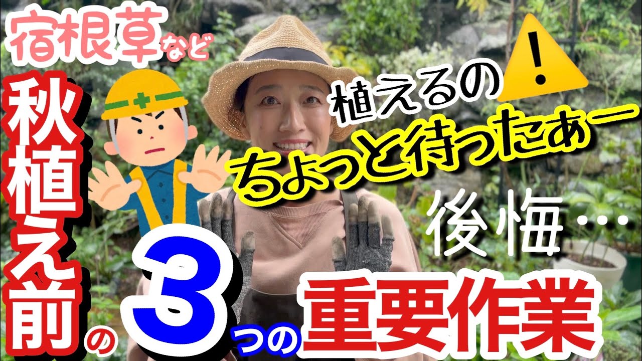 【宿根草ほか】秋の植え付け前の重要作業3選 / この作業をやっておかないと、秋植えが台無しに&hellip;😭後々後悔しないために、まずは〇〇をやる‼️/ 植える植物は本当にそれでいい？【ガーデニング】