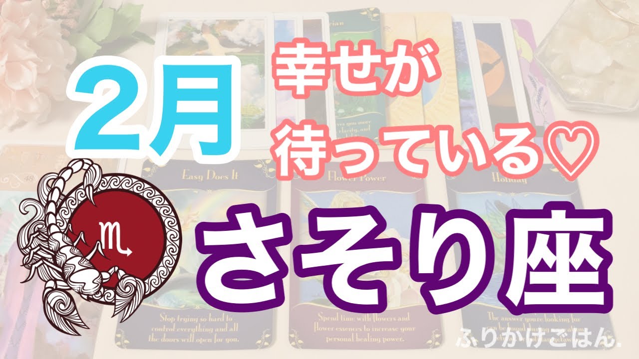 ♏️さそり座🦂2月の運勢🌟幸せが待っている！新しい始まり💓🌈✨全体運✨仕事運✨パートナーとのこと✨人間関係のこと✨今のあなたに必要なメッセージ✨