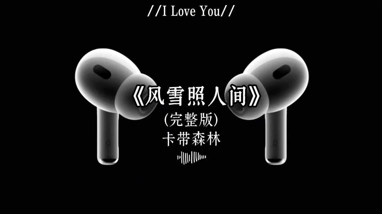 卡带森林 - 风雪照人间（你随那北风远走）(抖音DJ版)『你随那北风远走，留我一人在人间漂流，你曾许诺我永久，却又留我一人在渡口。』 抖音版｜热门爆火版｜抖音伤感氛围音乐