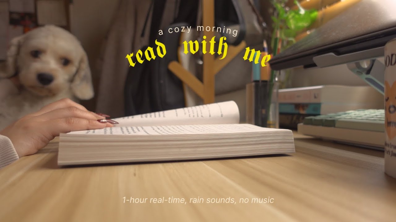a cozy morning read with me ☕ 1-hour real-time, rain sounds, no music | a novel love story