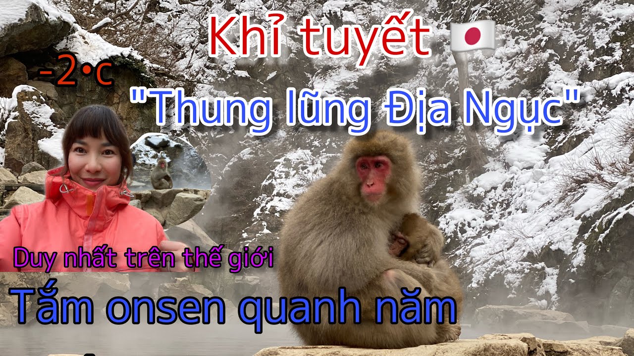 #2☘Loài khỉ sướng nhất thế giới