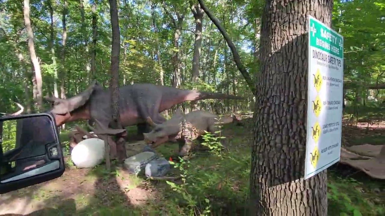Dinosaurs in the Waterford Hills forest