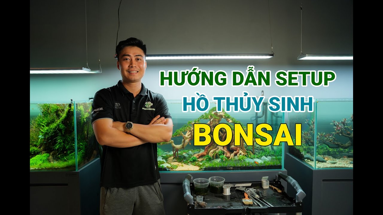 Hướng dẫn setup HỒ THỦY SINH phong cách BONSAI cực kỳ dễ chăm sóc