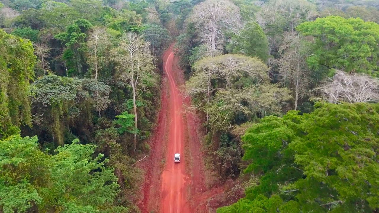 Le foreste ALPI in Camerun ottengono la certificazione FSC® (FSC-C129174) - Versione corta