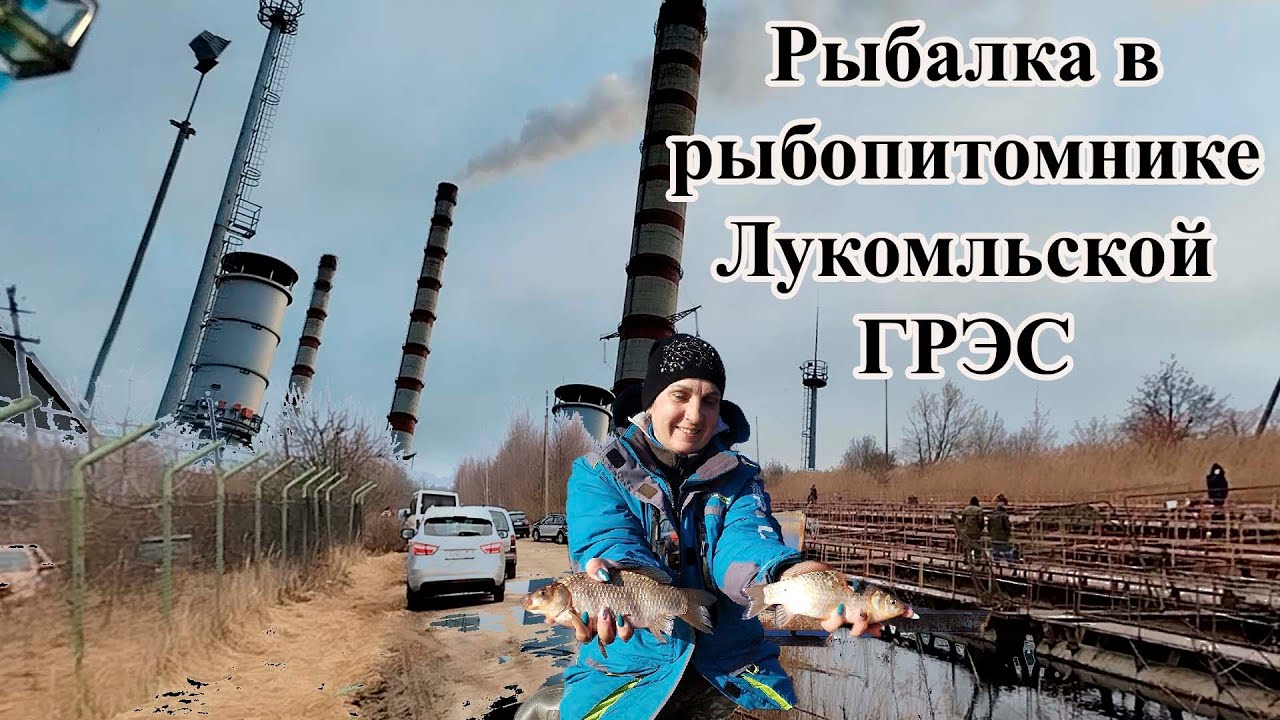 ОСОБЕННОСТИ РЫБАЛКИ на ТЁПЛОМ КАНАЛЕ Новолукомль  Рыбалка в рыбопитомнике на Канале Лукомльской ГРЭС