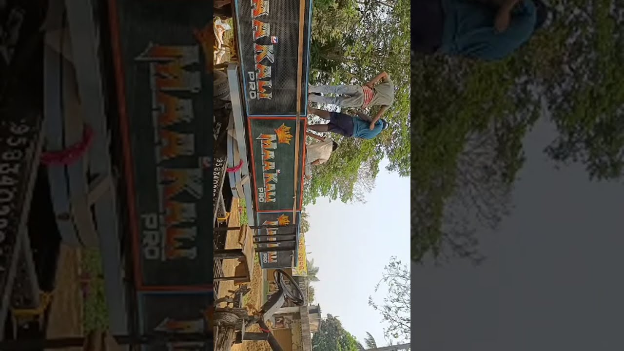 west Bengal crazy vlogger  is live