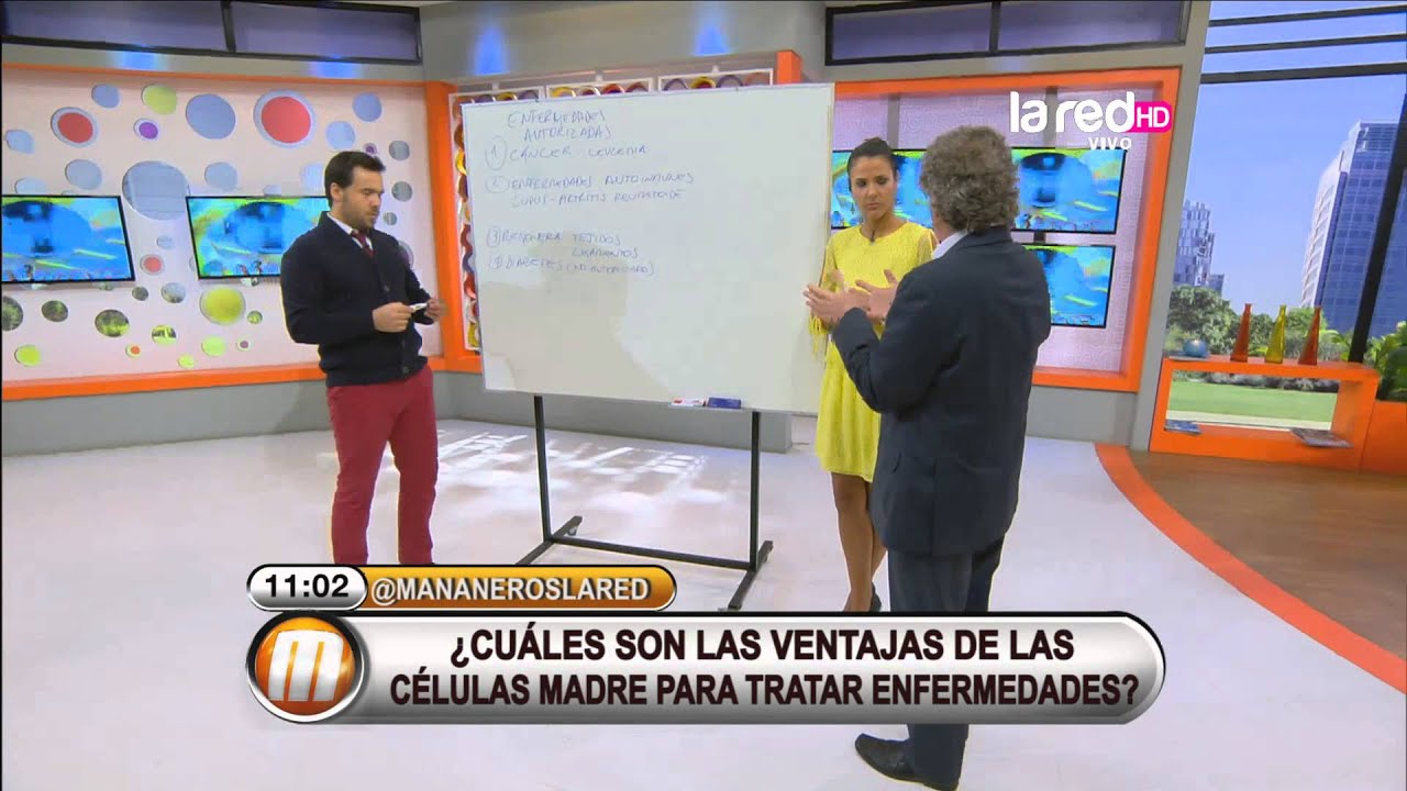 ¿Qué enfermedades se pueden tratar con células madres?
