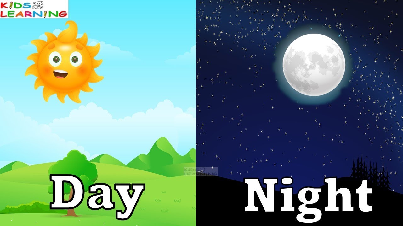 Things we see in the sky in day and night I Day and night sky I Things we see in the sky