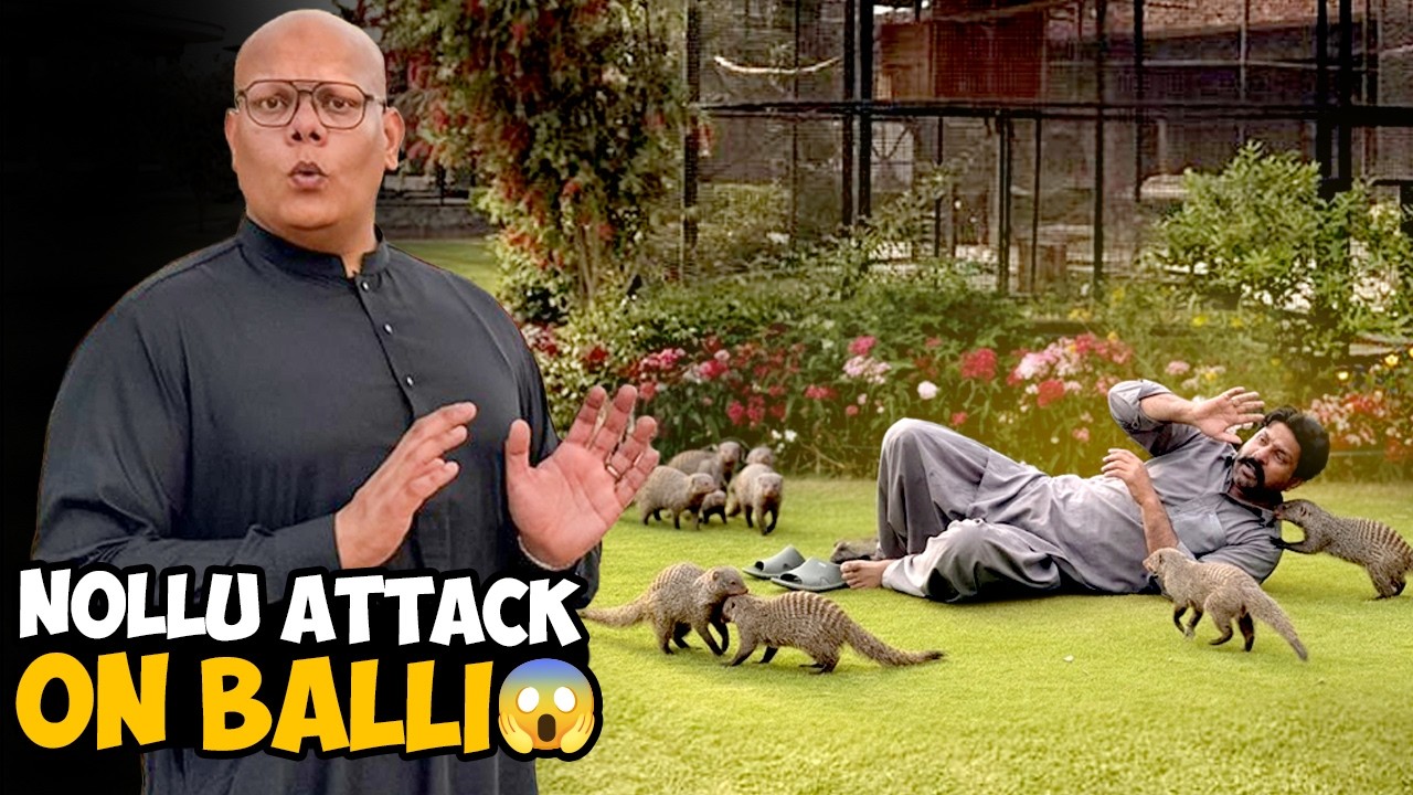 Nollu Ne Balli Ko Kaat Liya 😭Bohat Nuqsan Ho Gaya💔| BT Farm Stories