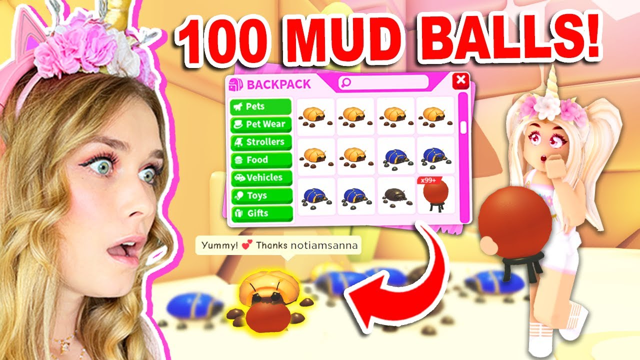 Throwing 100 MUD BALLS In Adopt Me! (Roblox)
