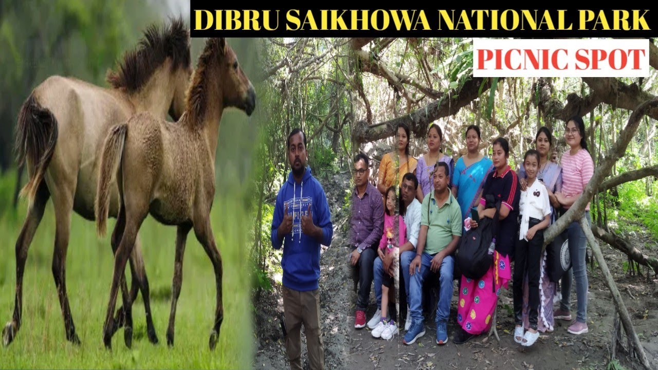 DIBRU-SAIKHOWA NATIONAL PARK ! DIBRU RIVER IN TINSUKIA ASSAM! PICNIC SPOT