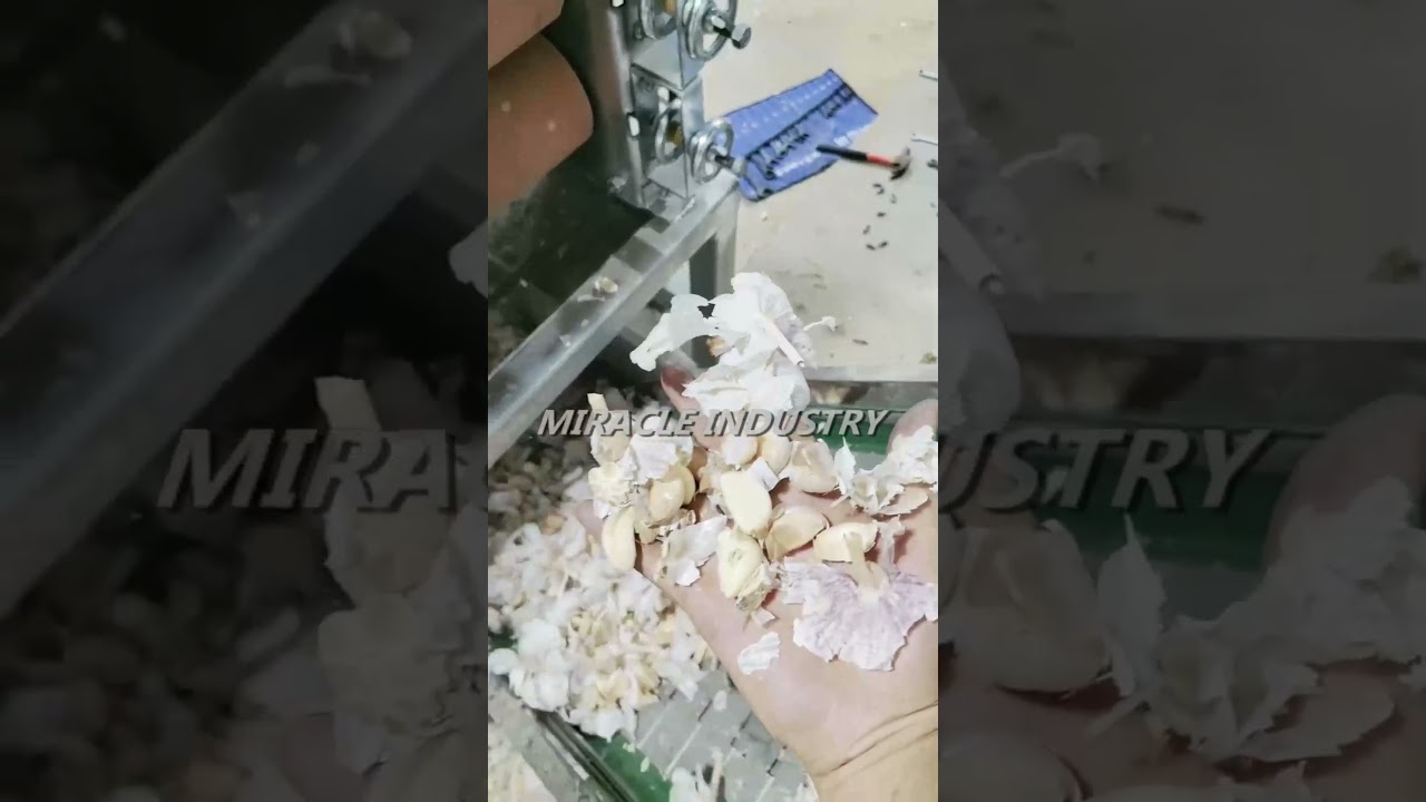 What Is Fully Automatic Garlic Separating Machine | Industrial Garlic Clove Separator#garliclovers