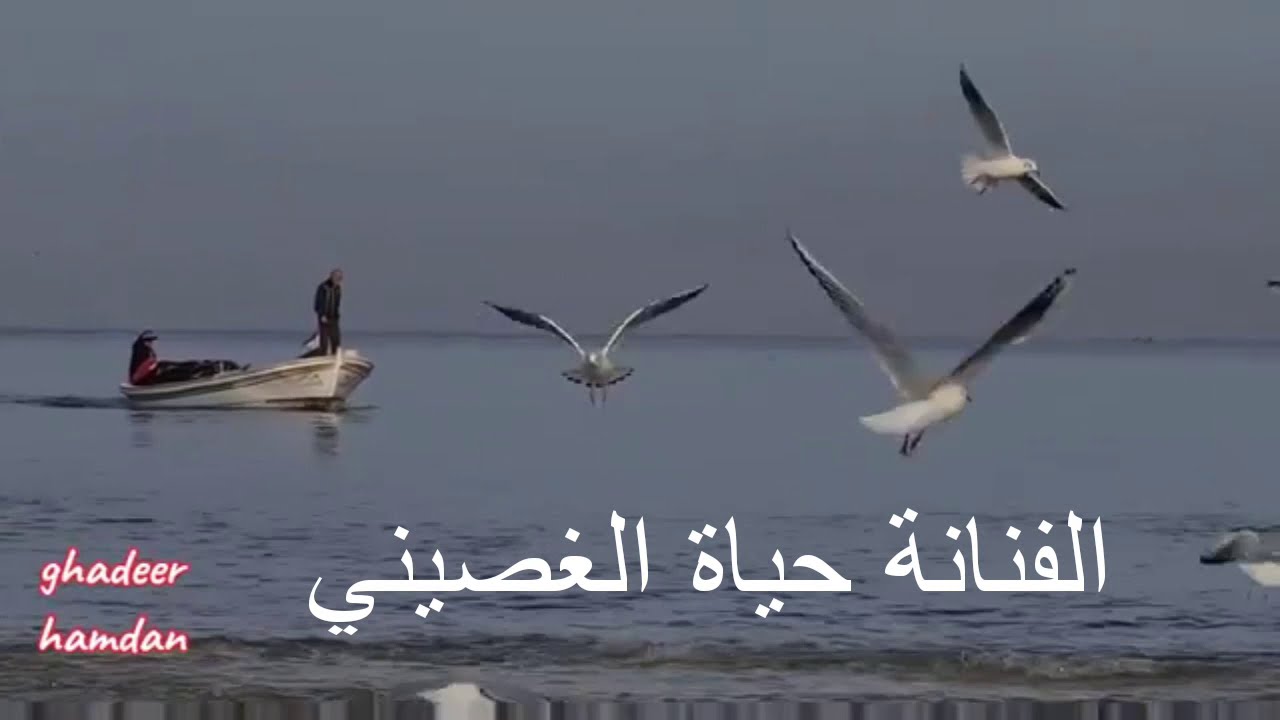 رايح يا حمام | الفنانة حياة الغصيني      hayat al ghousaini