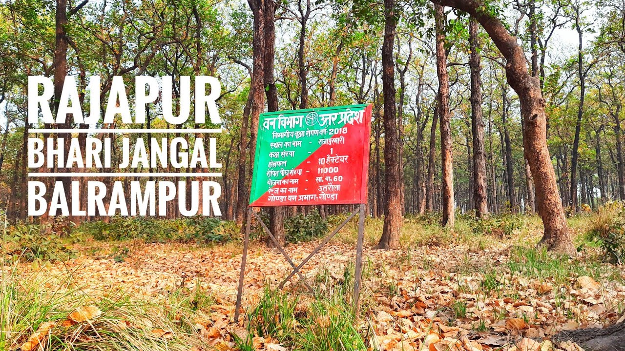 Forest vlog |Rajapur bhari jangal balrampur