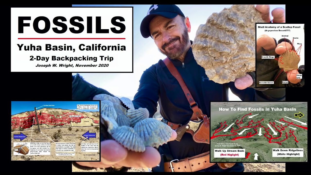 Fossil Hunting & Backpacking  in the Yuha Basin, California