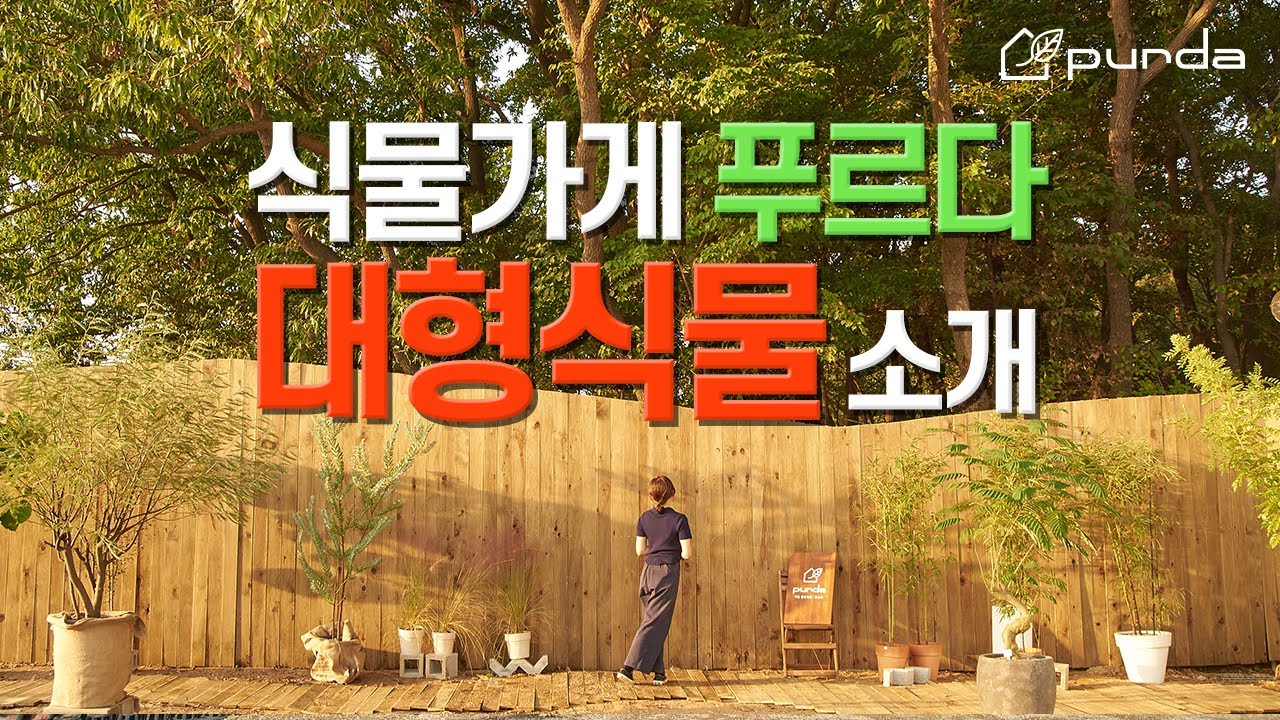 대형식물, 푸르다에서 소개합니다! 