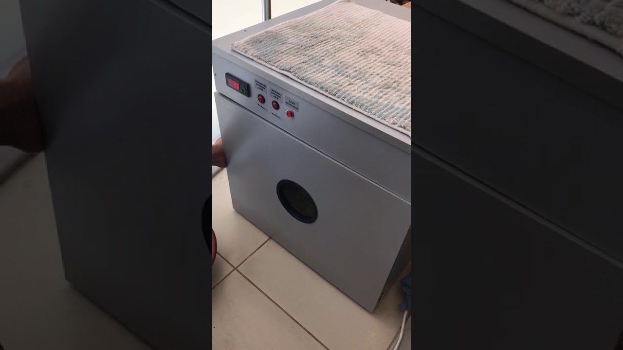 Servo-125 lik otomatik kuluçka makinası çıkım videosu