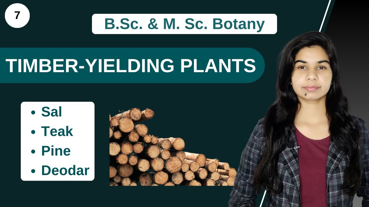 Economic Botany || TIMBER-YIELDING PLANTS || B. Sc. & M. Sc.