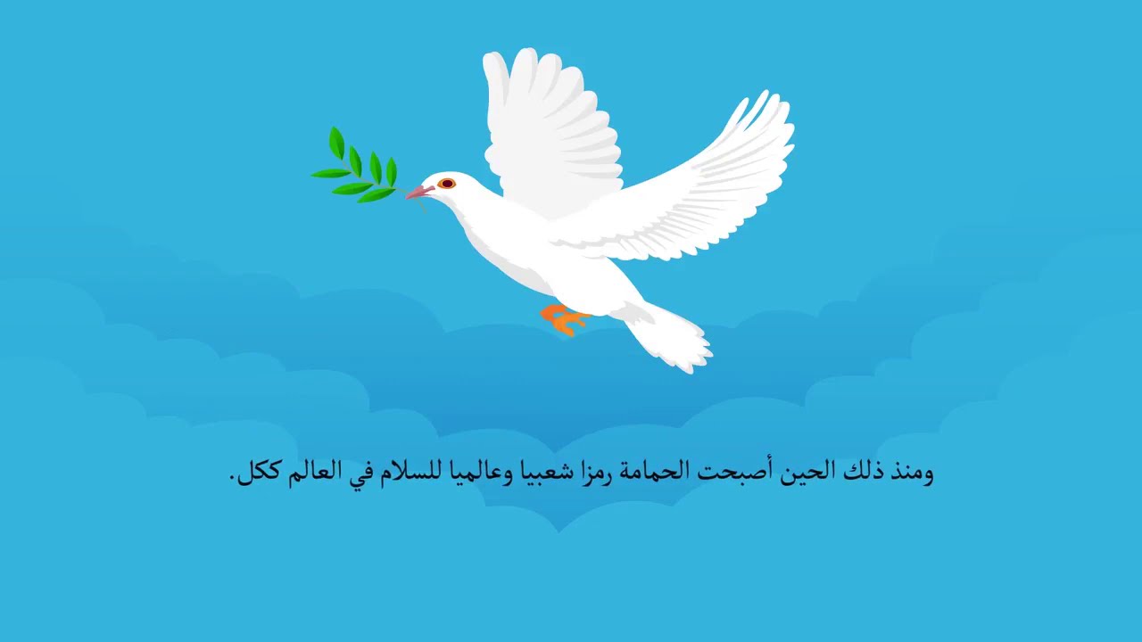 تعرف على قصة حمامة السلام، الحمامة البيضاء التي تحمل غصن الزيتون في منقارها
