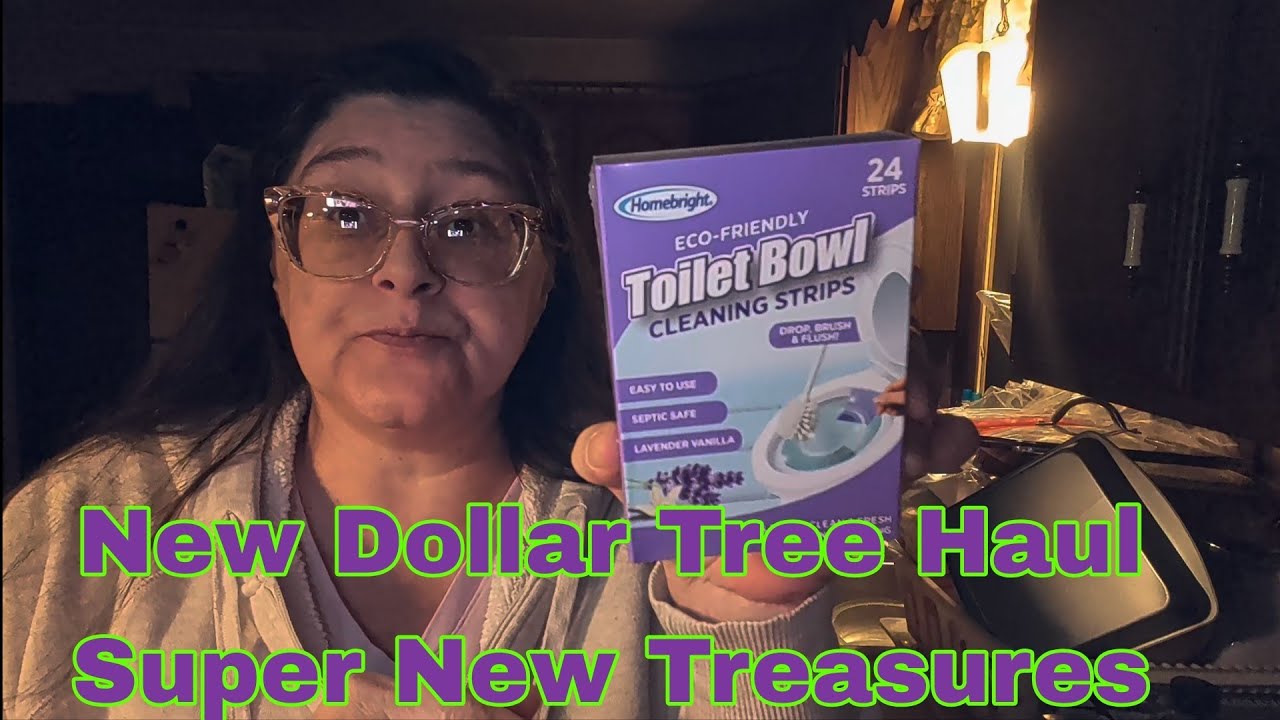 New Dollar Tree Haul Super New Treasures 