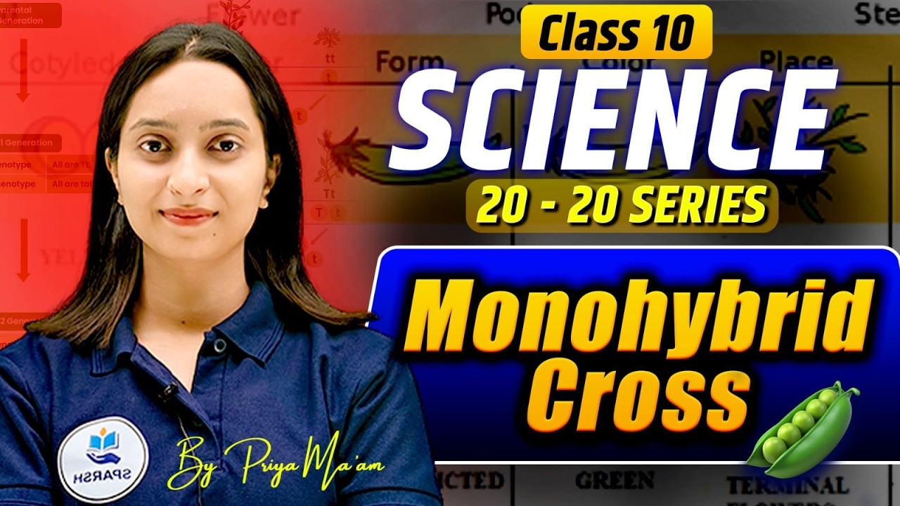Monohybrid Cross Made Easy | Mendel’s Genetics | Simple Explanation for Class 10