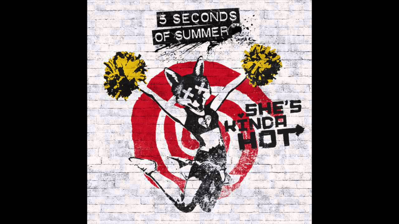 She's Kinda Hot - 5 Seconds of Summer (Flute)