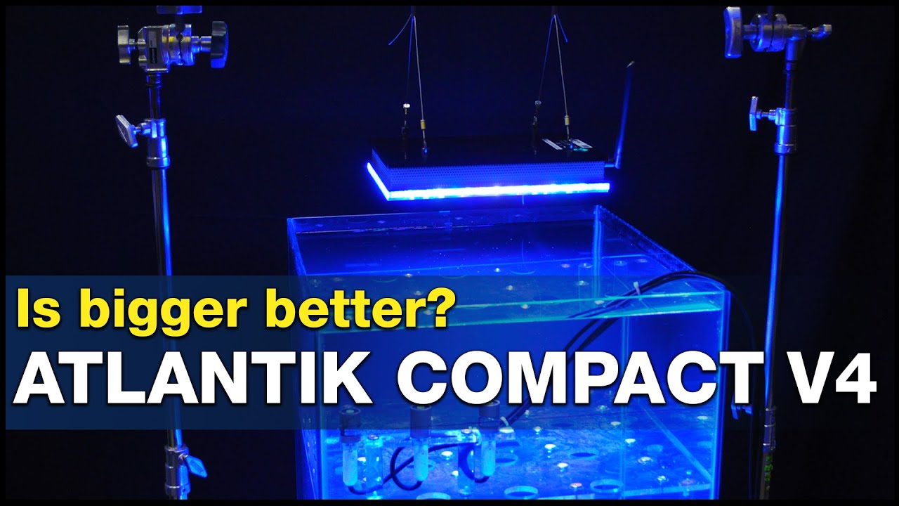 LED panels should provide better spread, right? Our Orphek Atlantik V4 Compact test and setup guide!