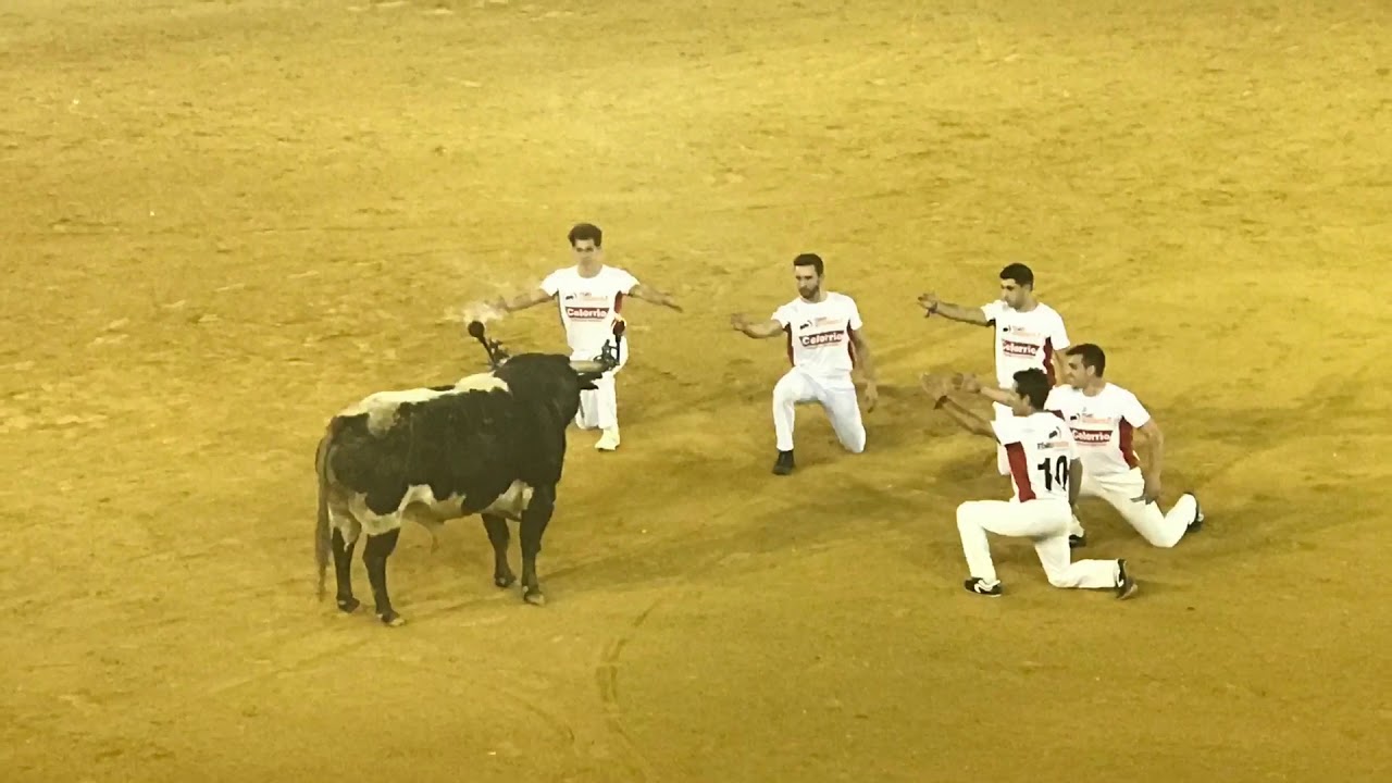 Final Recortes Toro de fuego. Zaragoza 14/10/17