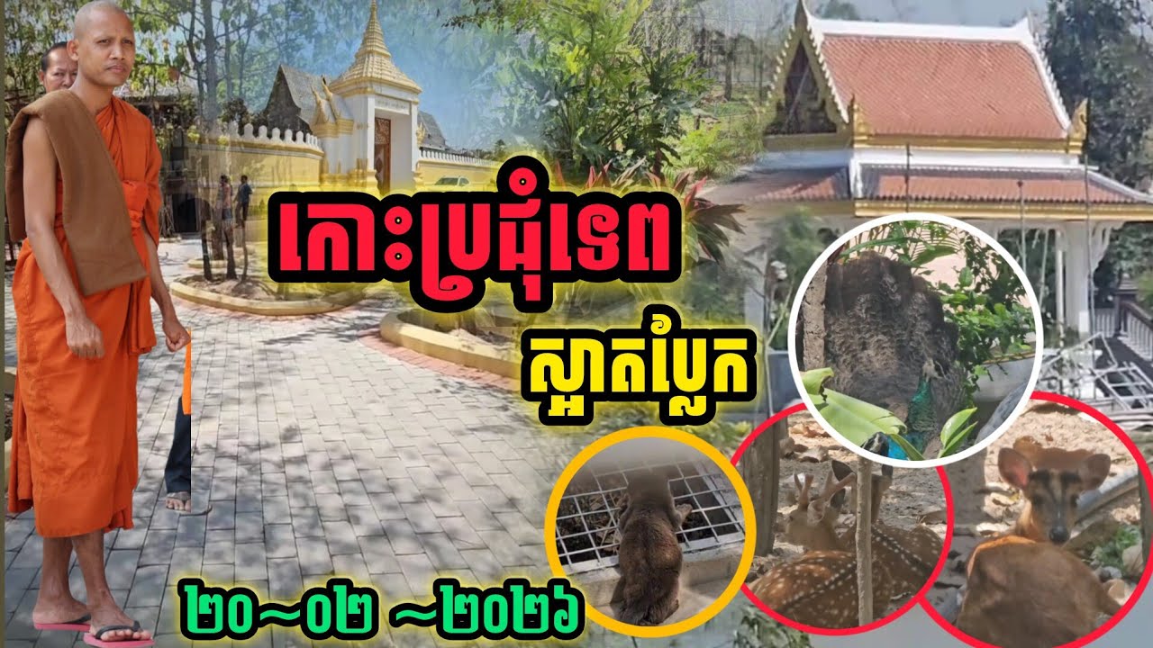 កោះប្រជុំទេព ស្អាតប្លែងសឹងមិនជឿ #វត្តតាសុត #ព្រះអង្គចន្ទមុនី 