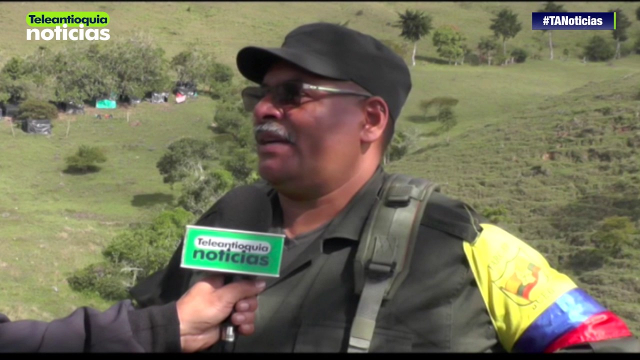 Teleantioquia Noticias visitó el campamento del Frente 18 de las Farc en Ituango