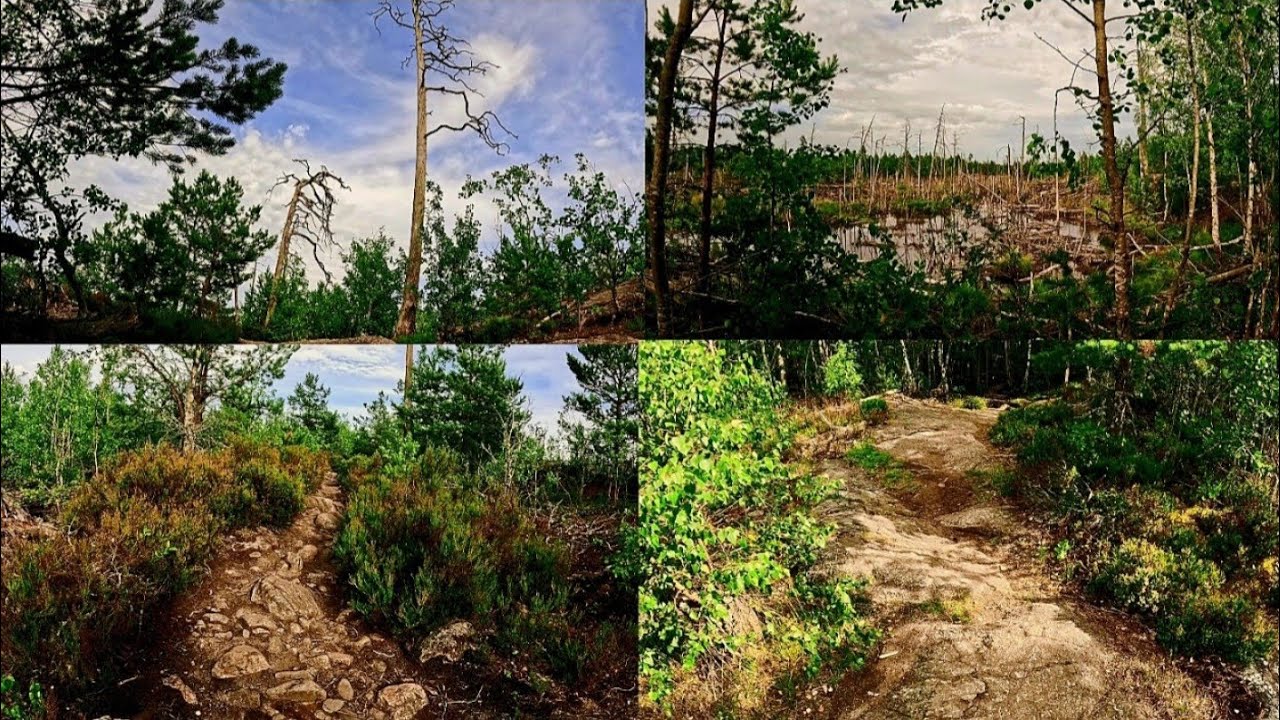 Part 2:  Hiking in Tyresta Nature Reserve : Tyrestarundan, 14 km. First Hiking experience