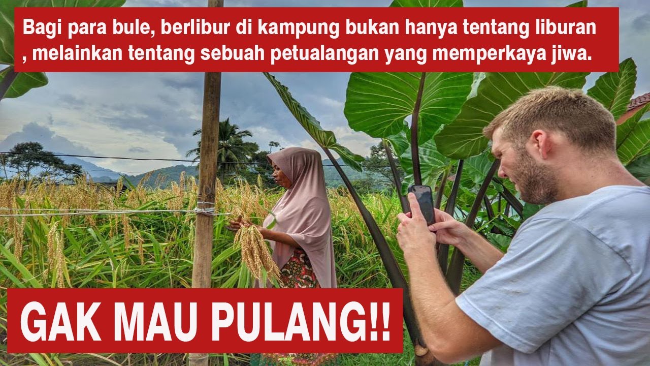 Ini Lho Rahasia Kampung Indonesia yang Bikin Bule Jatuh Cinta!
