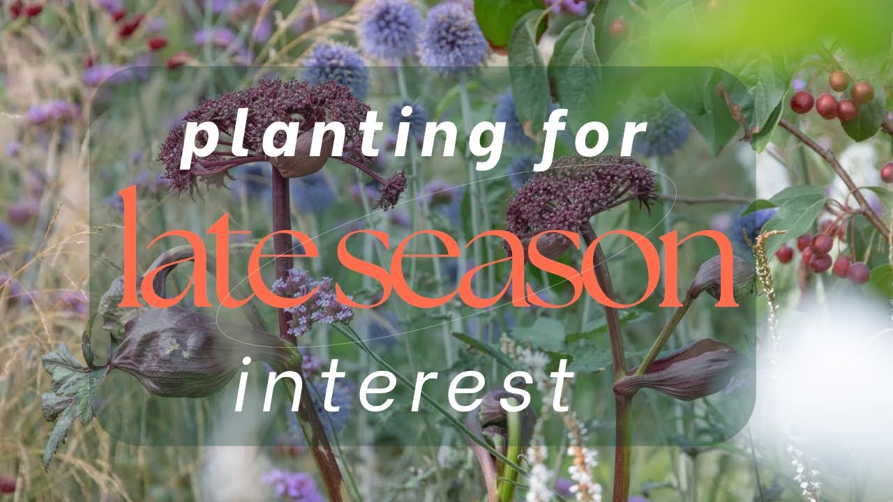 Late season garden interest (planting ideas)