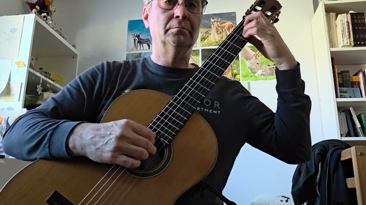 Sor op. 35, no 17