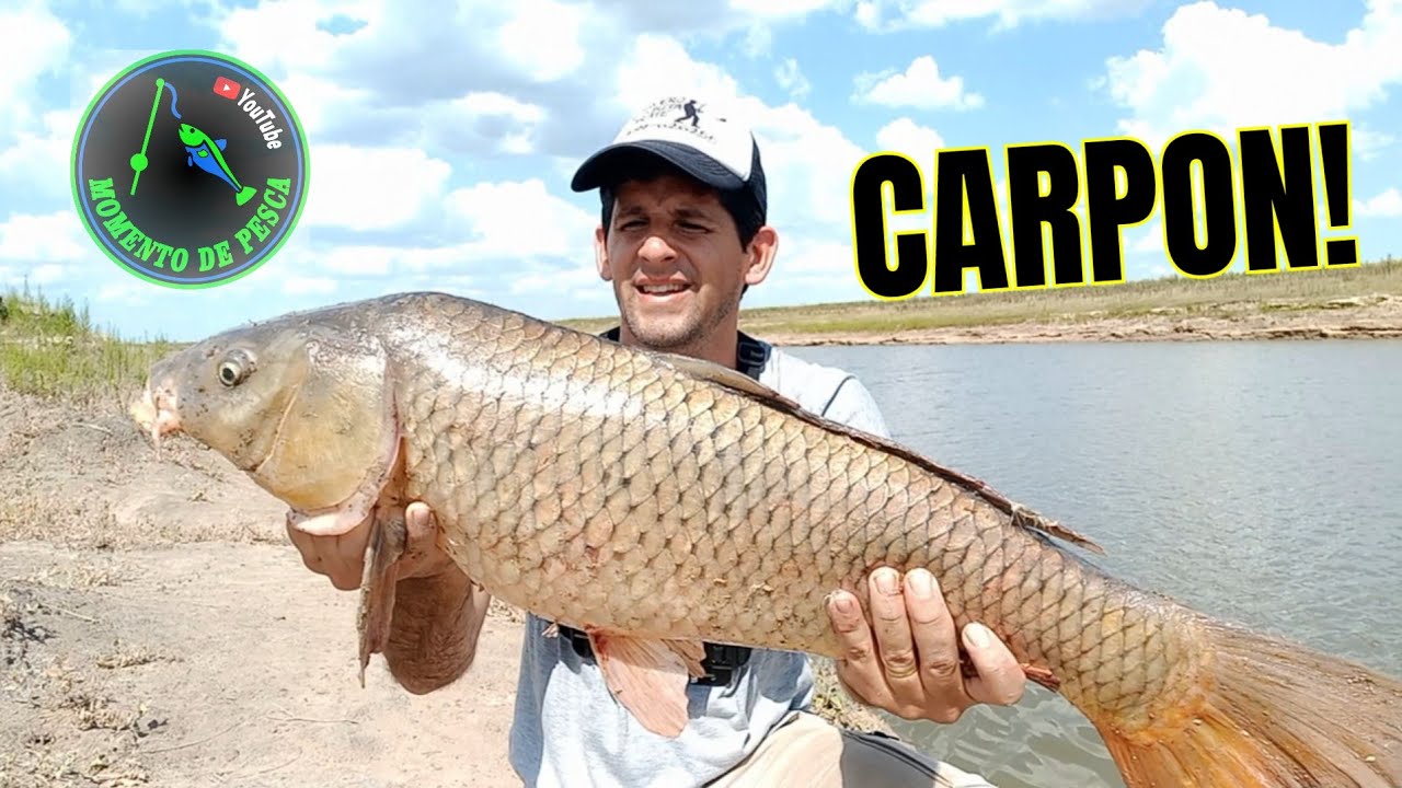 PESCA EN EL RIO SALADO 2025 - VIDELA DORNA