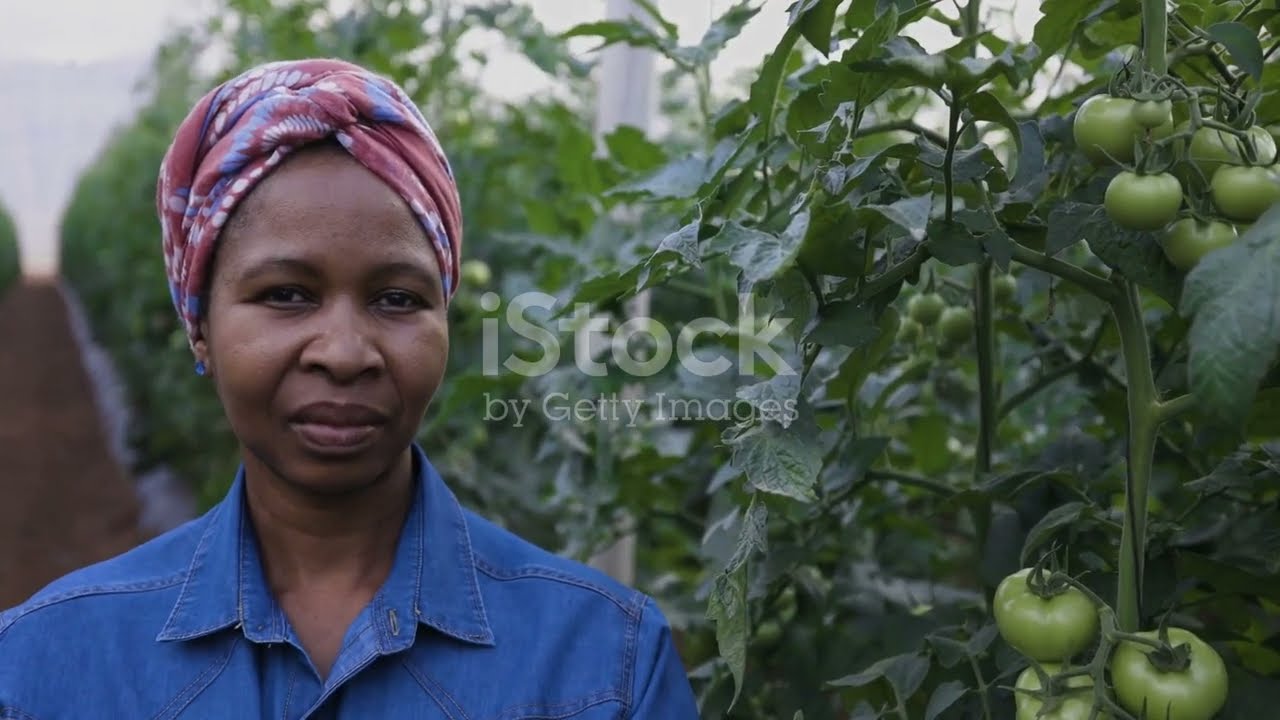 Investment OPPORTUNITY in Tanzania in Agricultural sector part 2