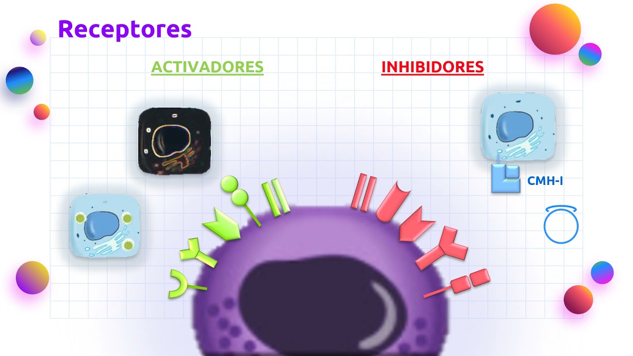 Ateneos Octubre 2021: Células Natural Killer, más que asesinas