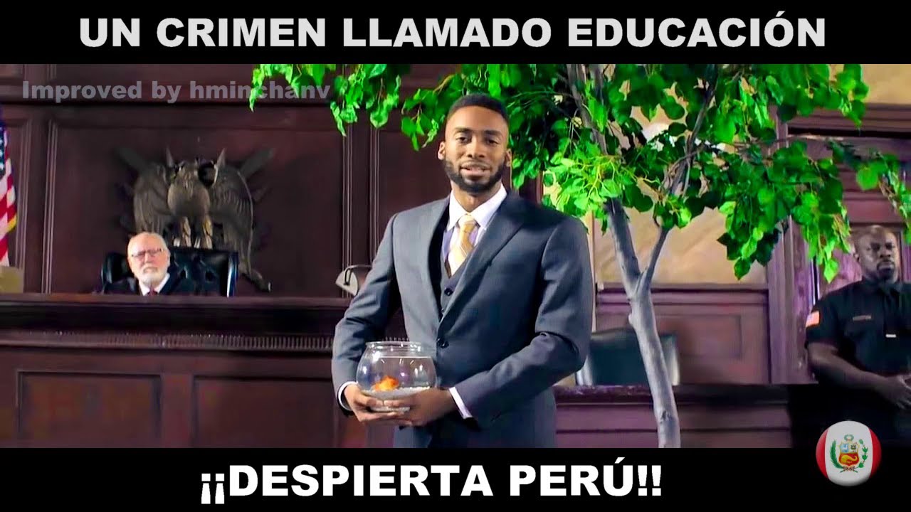 El pez no debe ser obligado a trepar los árboles